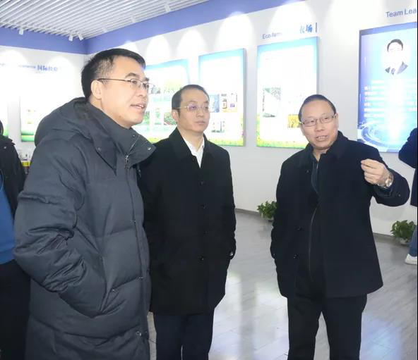 吴中区委副书记顾晓东一行调研环