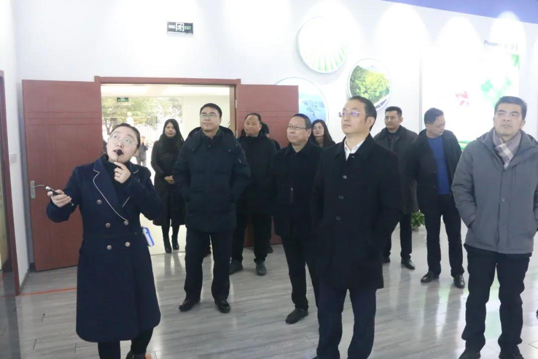 公司新闻